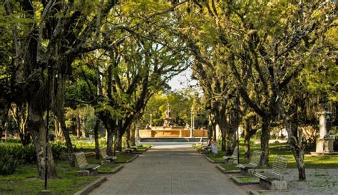 Praça Coronel Pedro Osório Receberá Iluminação Em Led Diário Da Manhã