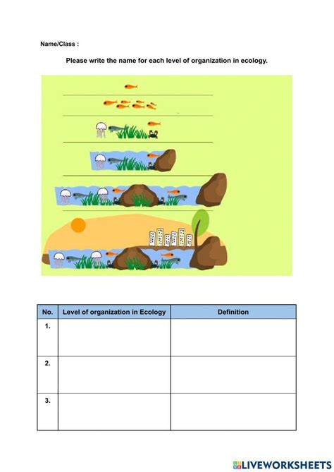 Level Of Organization In Ecology Worksheet Live Worksheets