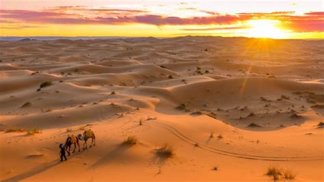 What's the largest desert in the world? | Live Science