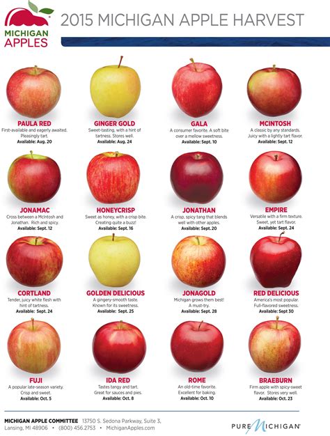 Red Apple Varieties