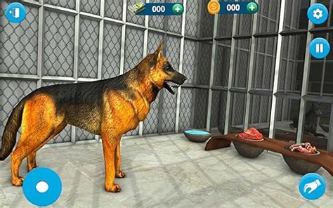 Dog Shelter Animal Rescue Sim:Amazon.com:Appstore for Android