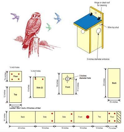 Free Diy Bird House Bird Feeder Plans That Will Attract Them To Your