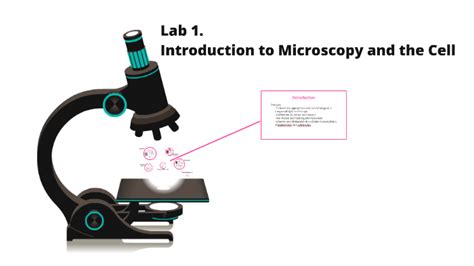 Lab 1 Introduction To Microscopy And The Cell By David Ruckle On Prezi