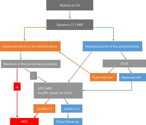 Diagnosis of Hepatocellular Carcinoma | IntechOpen