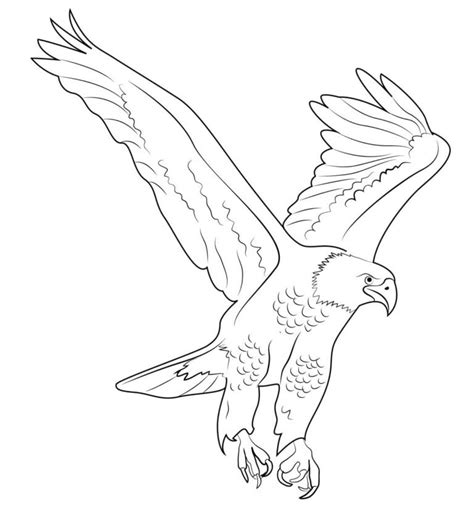 Bald Eagle Coloring Pages Printable For Free Download