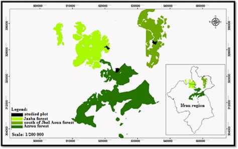 Map Of The Studied Area Download Scientific Diagram