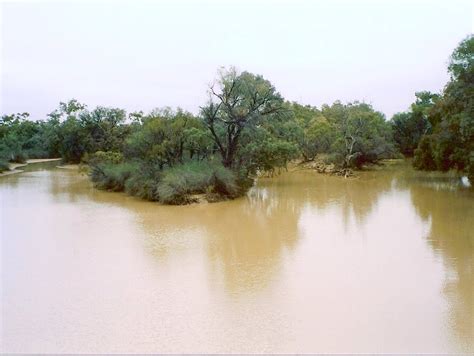 Top Longest Rivers In Australia Toplist Info