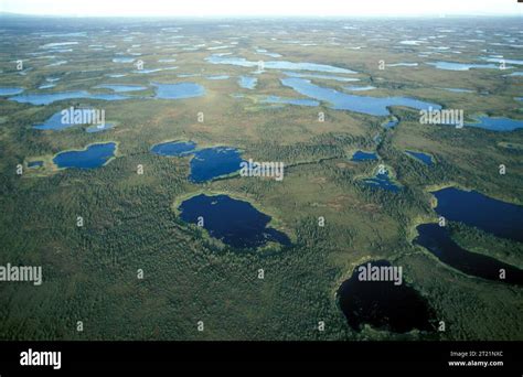 Aerial view of Selawik NWR Wetlands. Subjects: Scenics; Landscapes; Habitat; Wetlands; Selawik ...