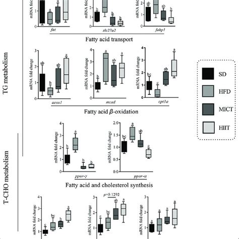 Hepatic Tg And T Cho Metabolism Related Genes Expression Quantification