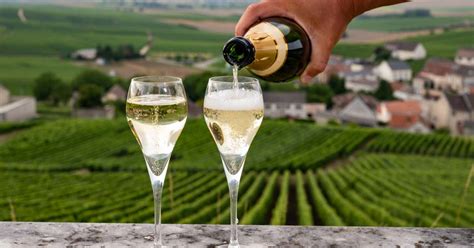 Understanding French Wine Region by Region | AMA Travel