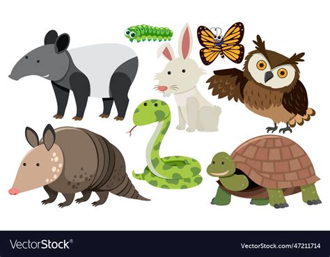 Set of animals cartoon simple style Royalty Free Vector