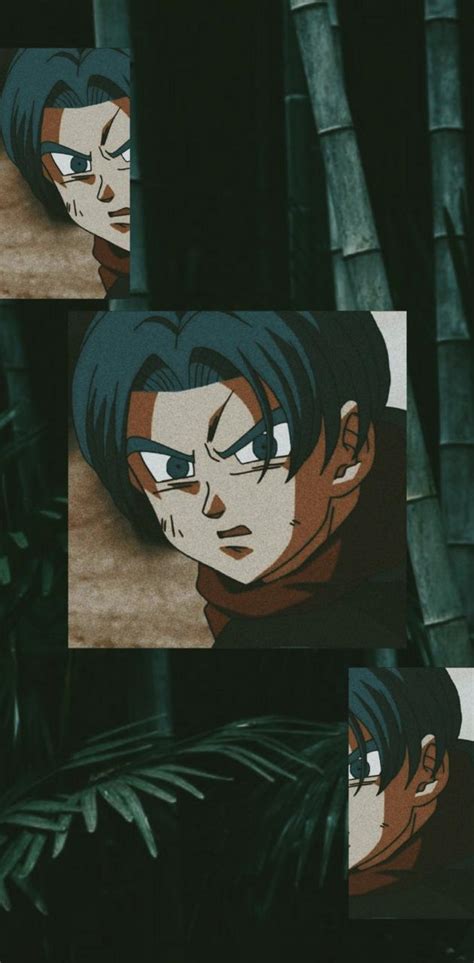 Trunks Aesthetic Wallpapers Wallpaper Cave