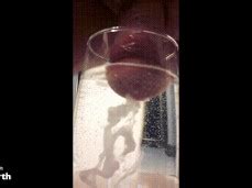 Outdoor Cock Suck Gay Porn Pornhub