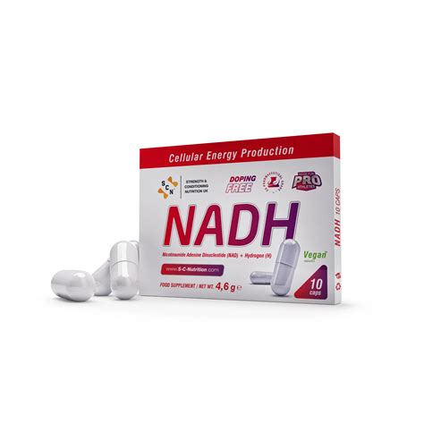 SCN Nadh – Cellular Energy Production - Voukelatos-Bikes
