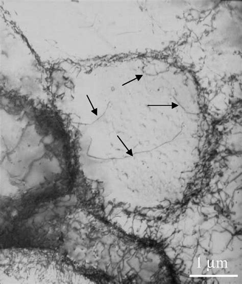 Dislocation cell structure showing curved screw dislocations (as ...