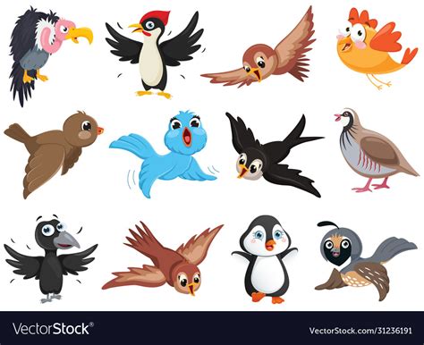 Set bird characters Royalty Free Vector Image - VectorStock