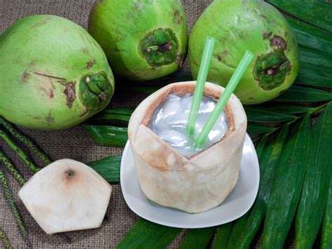 Coconut Water आरोग्यवर्धक नारळ पाणीही ठरू शकते घातक पिताना तुम्ही ही