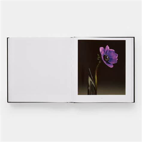 Mapplethorpe Flora Photography Store Phaidon