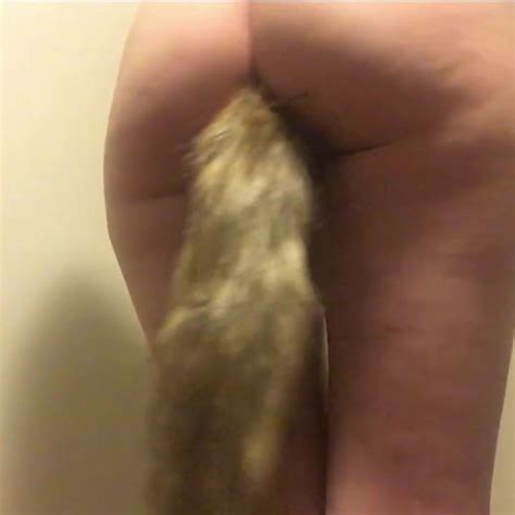 Fox Tail Butt Plug Tail Plug Hd Porn Video A Xhamster Xhamster