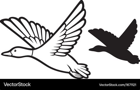 Mallard duck flying Royalty Free Vector Image - VectorStock