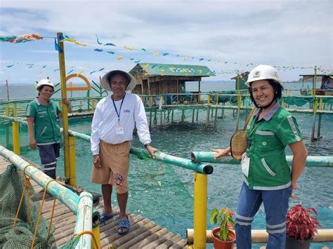 Fishermen In A Mining Community Harvest 12000 Kilos Of Bangus In 4