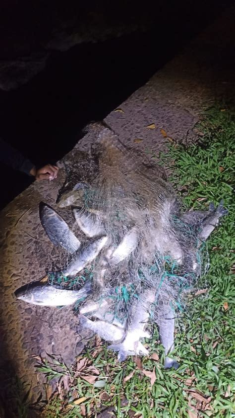 Polícia Ambiental flagra pesca irregular no Rio Piracicaba e aplica