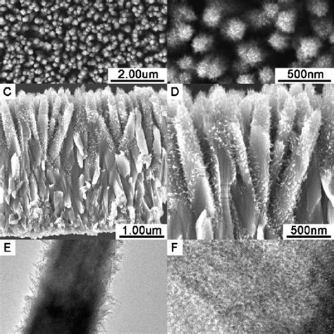 SEM Images Of The Bare TiO 2 Nanorod Arrays A And TiO 2 Nano Branched