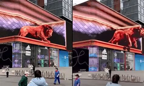 Introduction To Naked Eye D LED Displays MuenLed