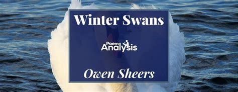 Winter Swans by Owen Sheers - Poem Analysis