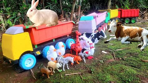 Mobil Truk Tronton Penuh Muatan Hewa Sapi Moo Gajah Jerapah Zebra Bebek