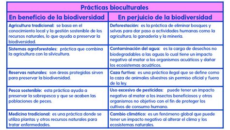 Página 193 RESPUESTAS Primaria Quinto grado