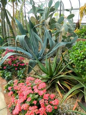 Explore Centennial Park Conservatory, Etobicoke, ON