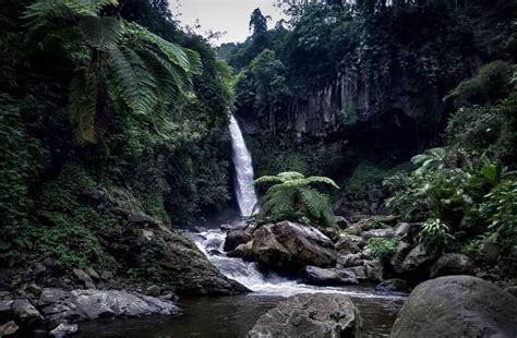 Air Terjun Coban Jahe Lokasi Fasilitas Wisata Dan Harga Tiket Masuk