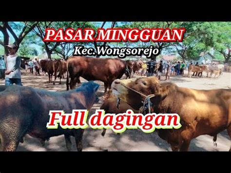 Full Pengunjung Kondisi Pasar Sapi Mingguan Hampir Lebaran Ramix Full