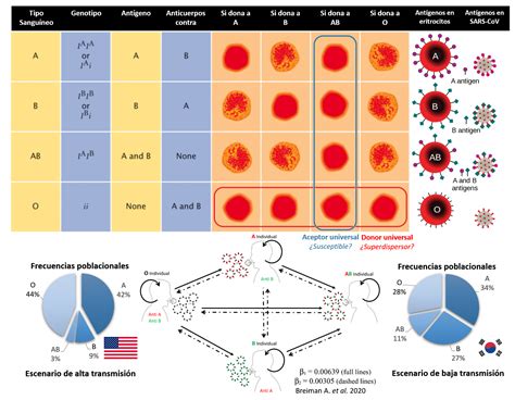 101 Resumen Gráfico Del Modelo Idp Abo Biovirología