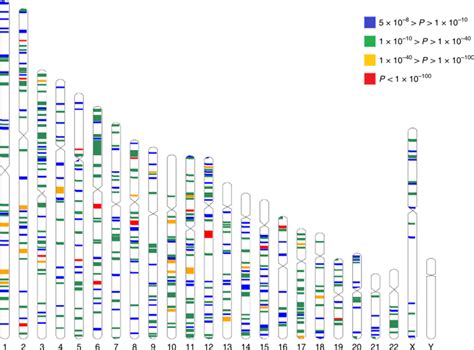 Meta Analysis Of 542 934 Subjects Of European Ancestry Identifies New