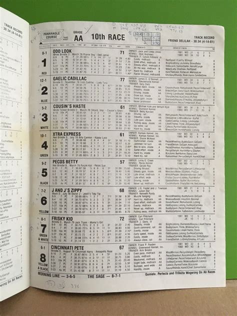1981 Wheeling Downs Greyhound Racing Program, Full Size, with (2) Tip