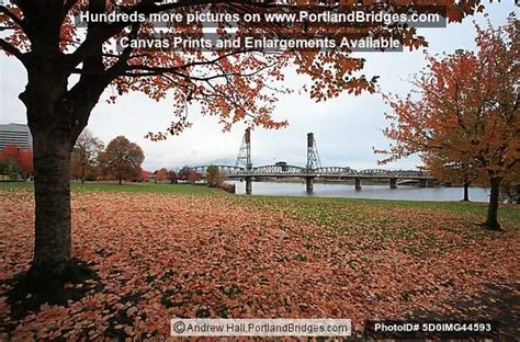 Hawthorne Bridge Fall Leaves Tom Mccall Waterfront Park Portland