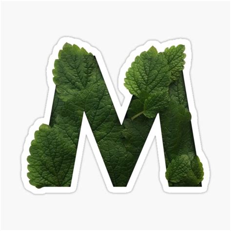 Floral Letter M Melissa Officinalis Autumn Font Sticker For Sale