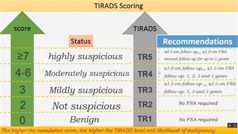 Ti Rads Grading Image Chart