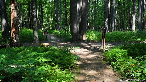 Catoctin Mountain Park | THURMONT VISTA LOOP HIKE