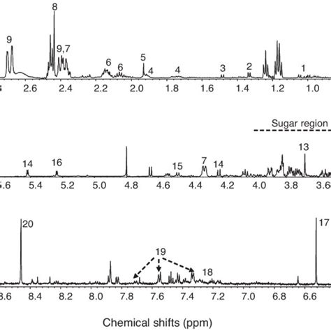 Representative 1 H Nuclear Magnetic Resonance Nmr Spectrum Of The Download Scientific Diagram