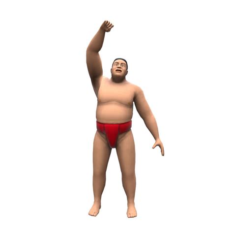 SUMO wrestler 3D Model