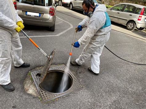 Siderno Nella Notte La Deblattizzazione Del Territorio Comunale Metis