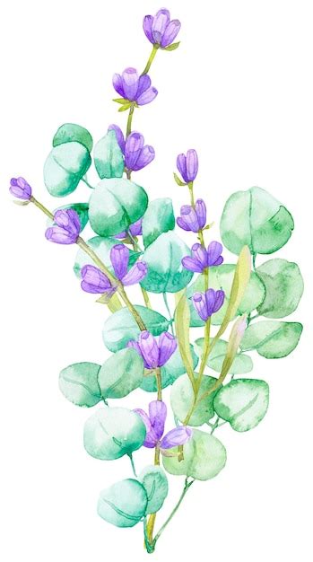 Premium Vector A Bouquet Of Green Eucalyptus Leaves And Lilac Lavender