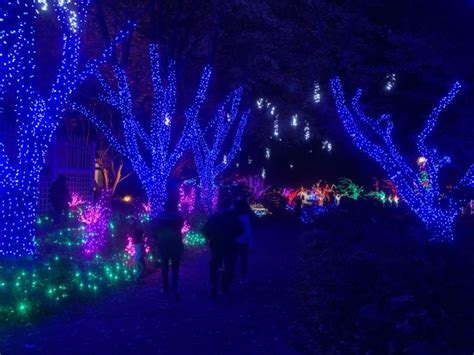 2024 Meadowlark Gardens Winter Walk of Lights Beautiful Holiday Fun