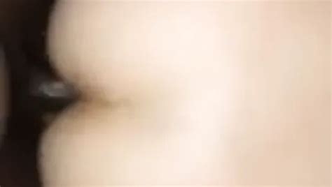 Free PAWG Anal Porn Videos XHamster