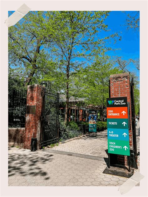 Central Park Zoo NYC - My Storied Journeys