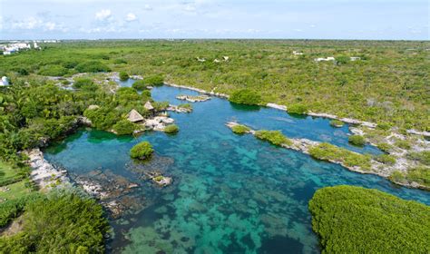 Guía Para Visitar Yal Kú En Akumal