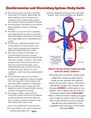 Cardiovascular And Circulatory Systems Study Guide Pdf Cardiovascular